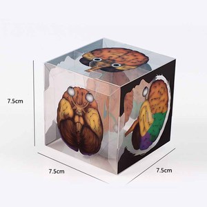 DIY组装人脑立方体模型儿童小实验材料包 - Product Image 6
