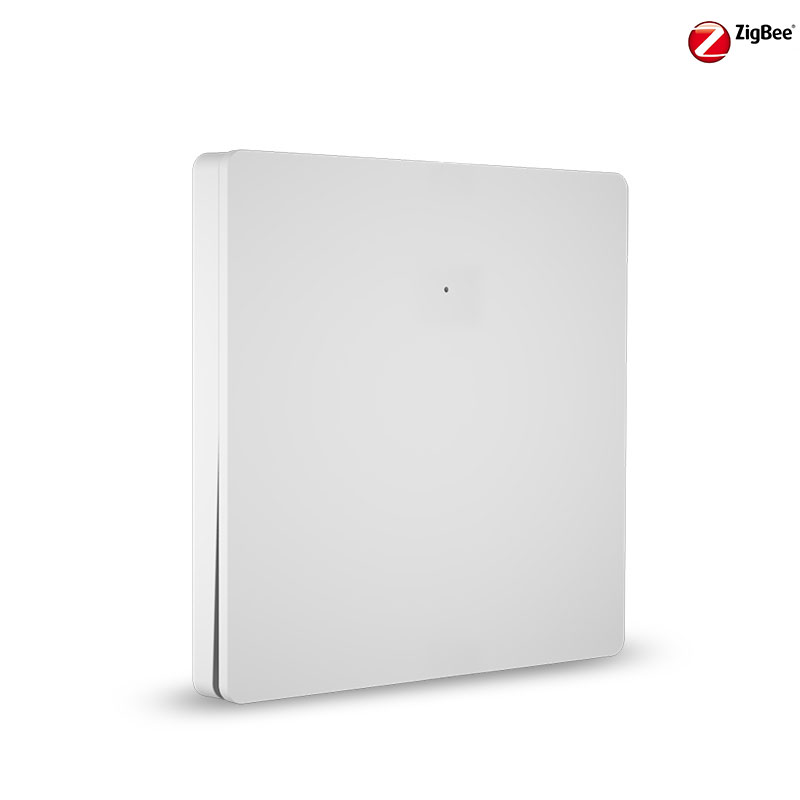 ขาว-1 ช่อง