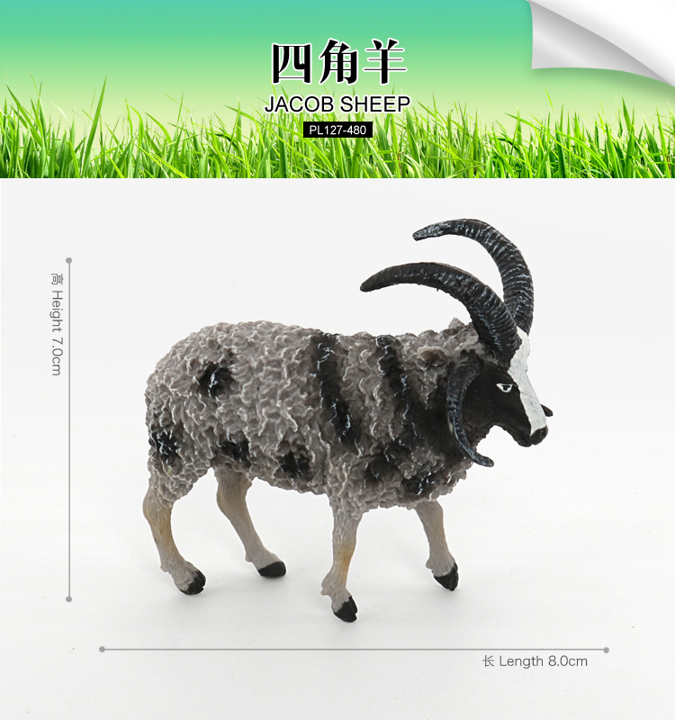 480 Angoli Capra