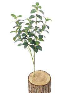 Artificial Palm <strong>Tree</strong> - Product Image 4