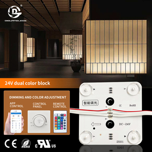 Diguang ไฟ LED โมดูล24V สองสี3000K-6000K หรี่แสงและปรับสีโมดูล LED สำหรับแสง - Product Image 1