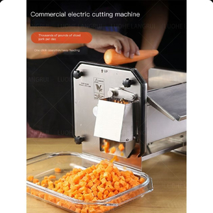 High Efficiency and High Yield <strong>apple</strong> and Vegetable Dicing Machine - Product Image 4