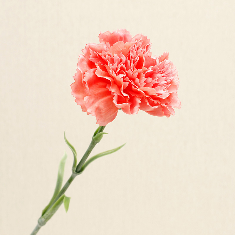 dark pink