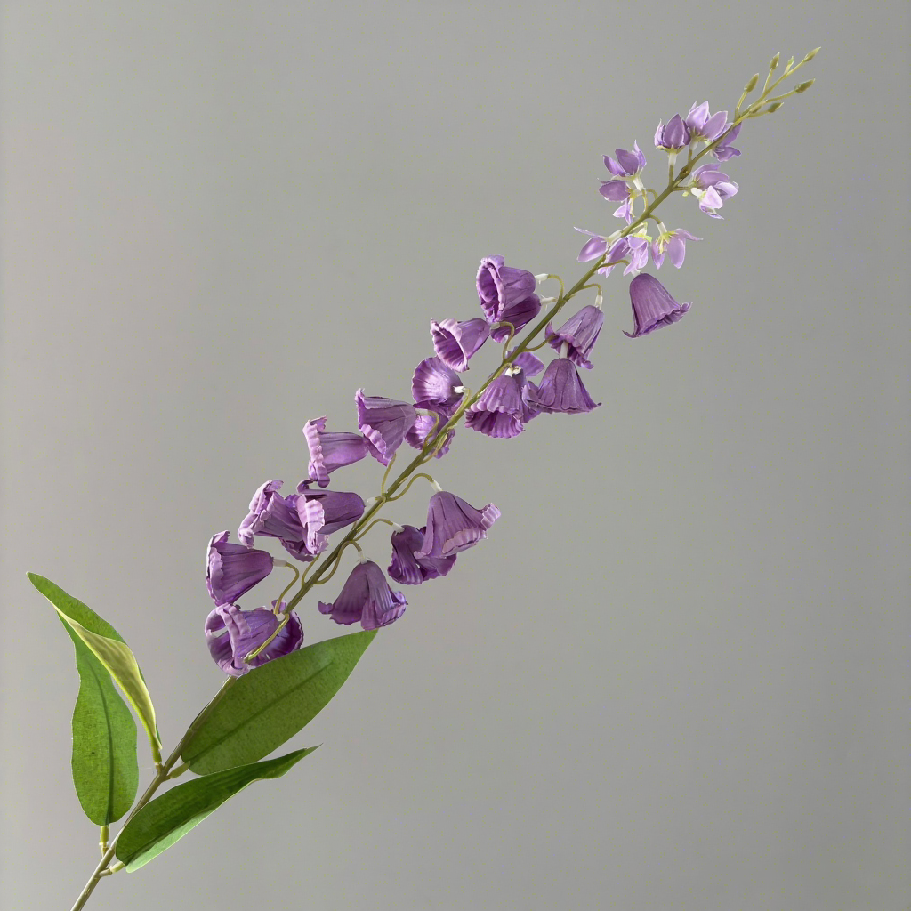 Pourpre