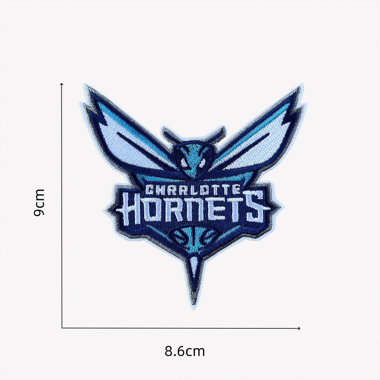 Charlotte Hornets