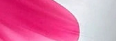 Stampa Floreale Rosa