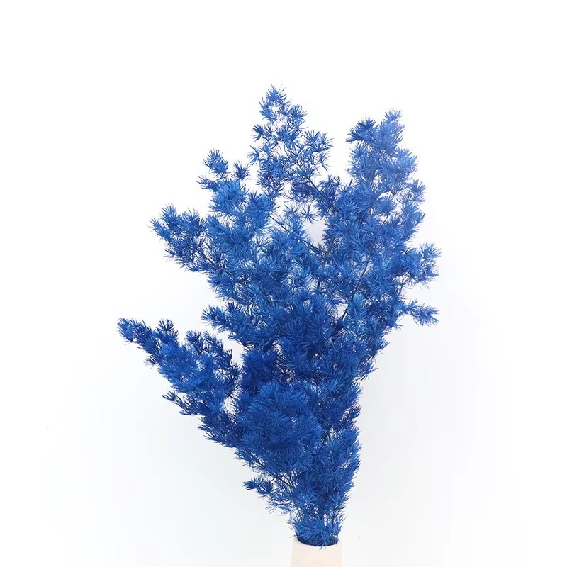 Blu scuro