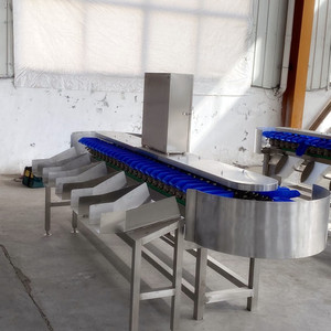 Máquina automática de clasificación de frutas, maquinaria industrial automática de línea de clasificación de peso, precio barato