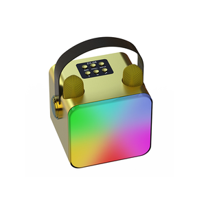 Renk değiştiren LED ışıkları ve çift mikrofonlu taşınabilir kablosuz Karaoke makinesi - Product Image 2