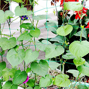 Es gibt eine Schnur seile auf jeder Ecke des Garten netzes kann es jede Länge schneiden, basierend auf Bedarf Pflanzen kletter netz - Product Image 4