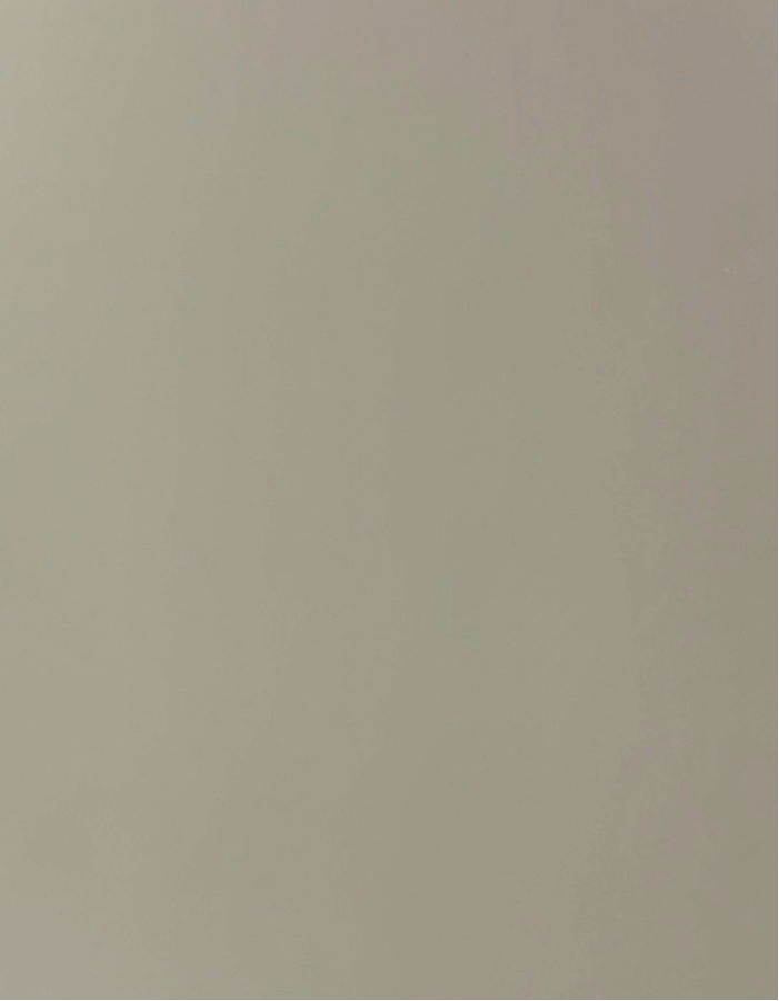 Puni Grey