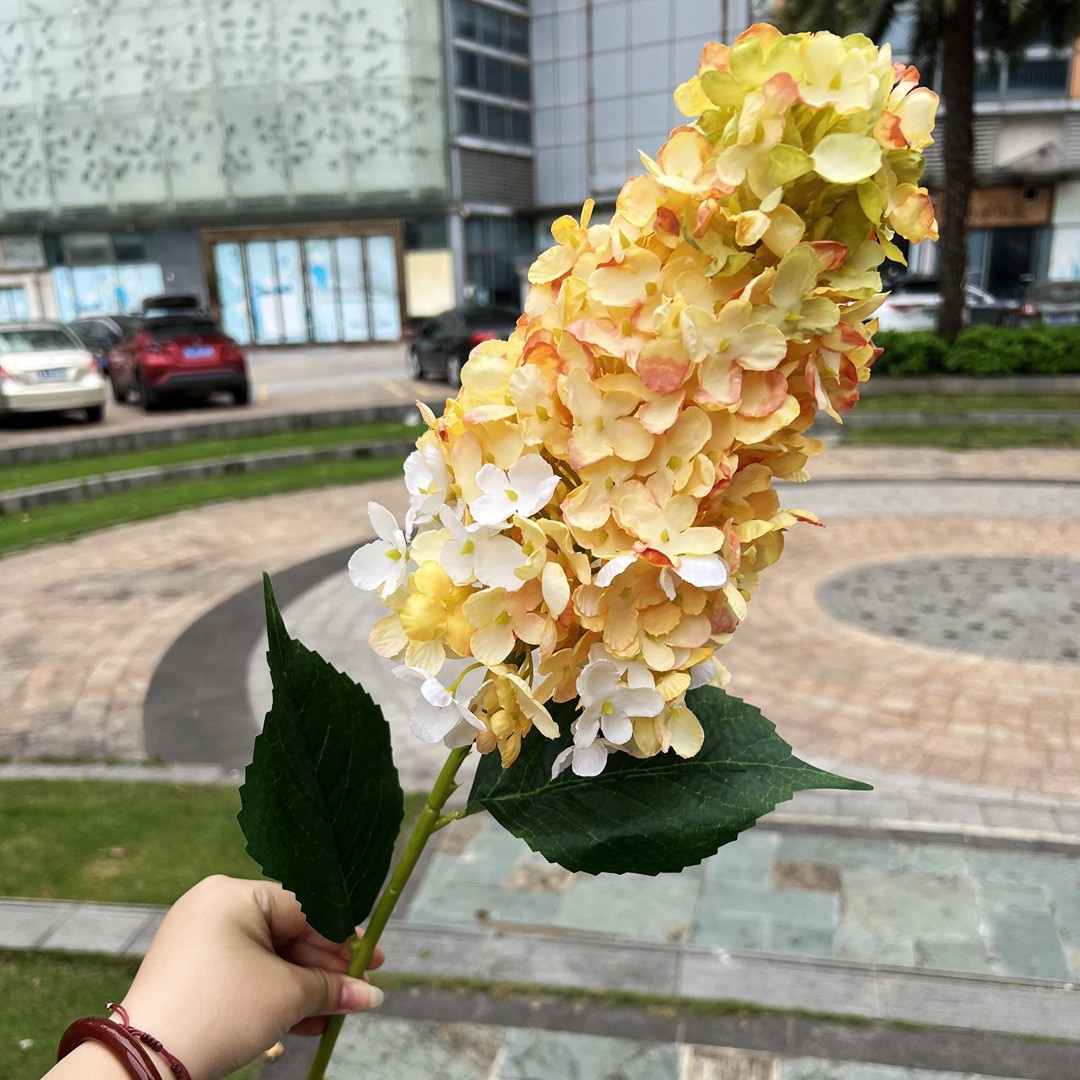 Jiao bian grande pagode hortensia jaune