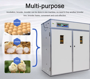 Akıllı couveuse oeuf automatique yumurta kuluçka otomatik kuluçka makinesi yumurta kuluçka makinesi - Product Image 4