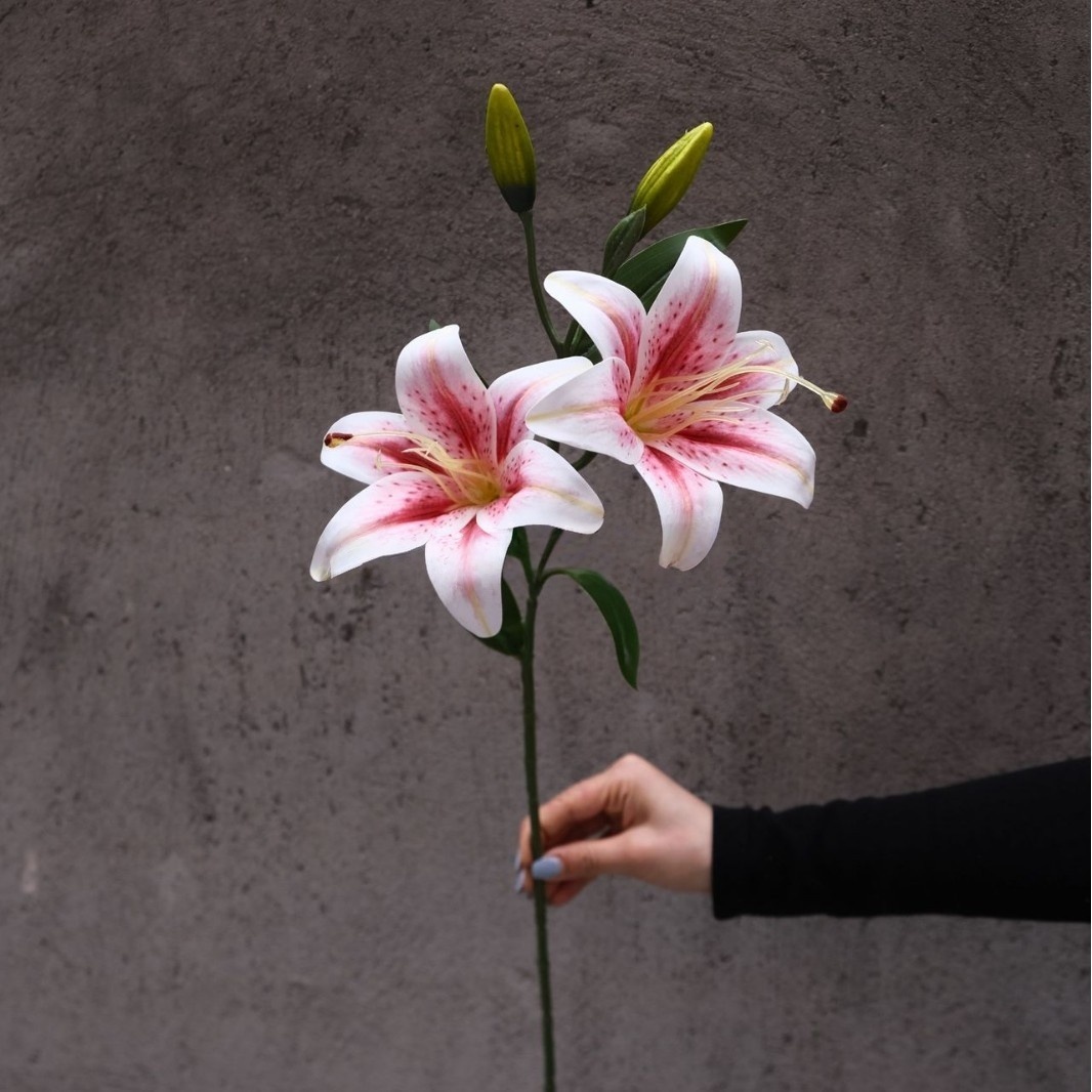Giglio rosa a due teste