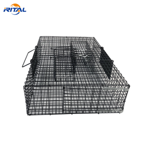 Ağır canlı sincap tuzak kafesi iki kapı insancıl çok yakalamak ve sıçan fareler sincaplar sincaplar bırakın - Product Image 5
