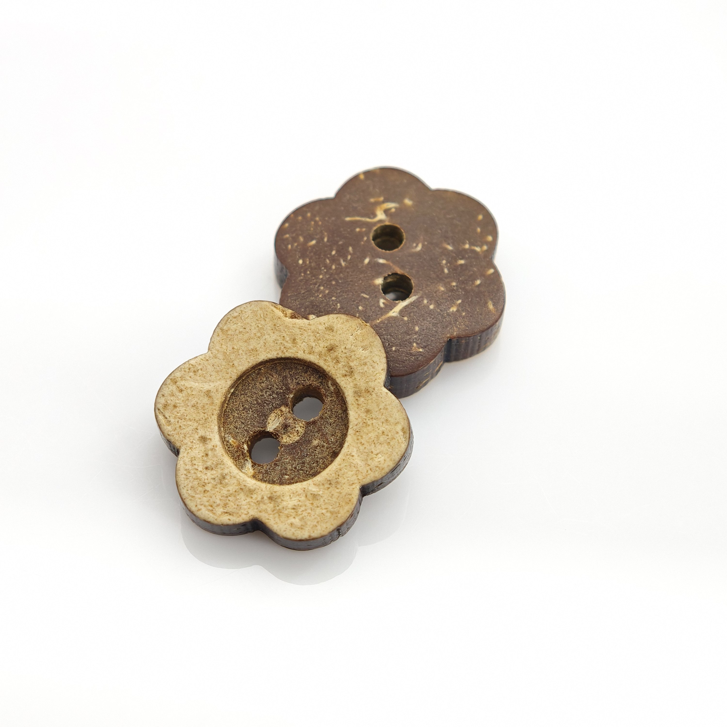 Cáscara de coco