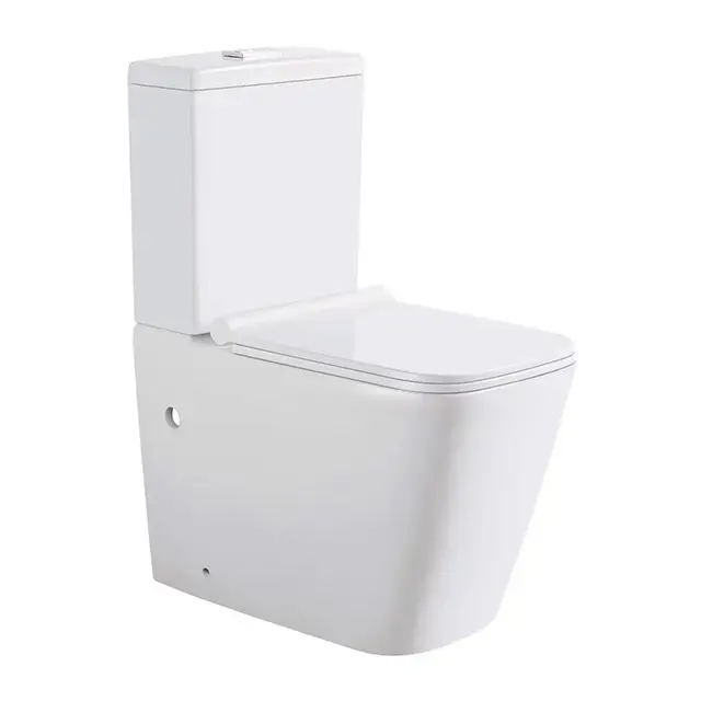 透かし製品セットウォータークローゼット卸売ツーピースWcトイレリムレスPトラップトイレ用バスルーム機器