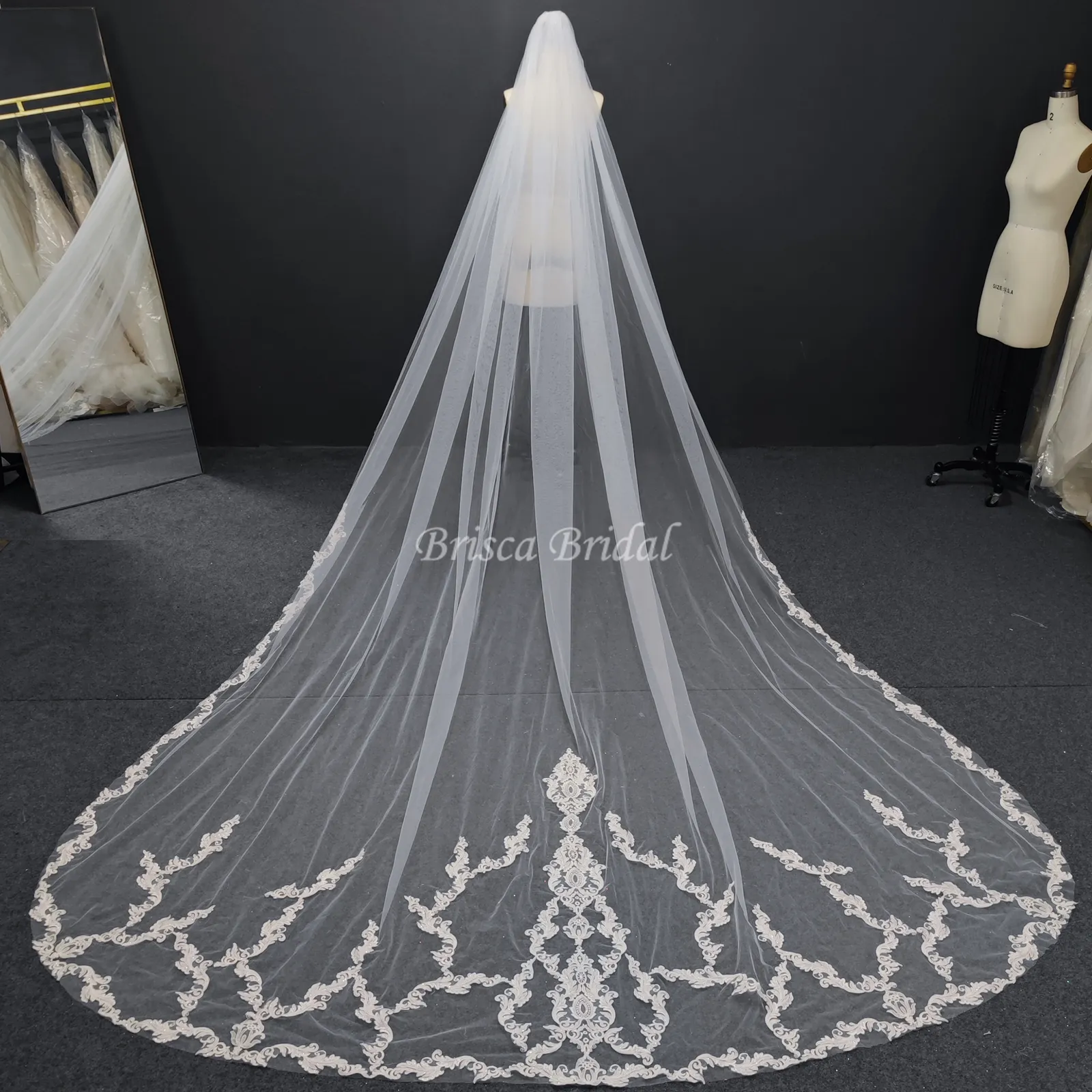 Designer High Quality New Design Thick Lace 3 or 4 Meters Long Tulle Bridal Veil Wedding Veils