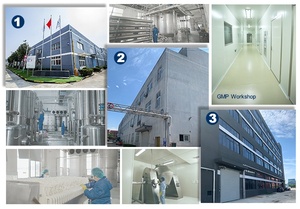 Fabrika fiyat sığır kondroitin sülfat sodyum kondroitin sülfat 90% kondroitin sülfat tozu - Product Image 5