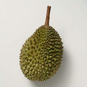 High Quality Frozen Durian <strong>Meat</strong> King of Fruits Hot Selling Tropical Preserved Puree Competitive Price From Malaysia - Product Image 5