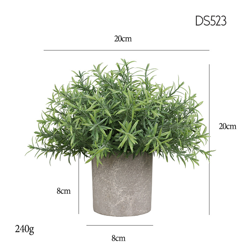 523 Hedyotis diffusa en poudre densifiée