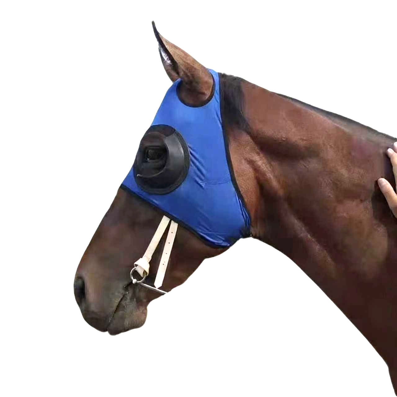 VitesseMasque facial coupe-vent pour cheval