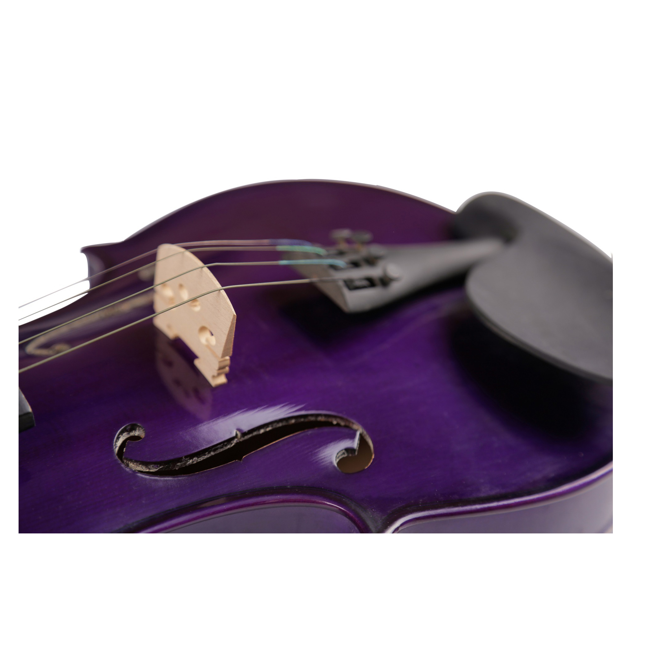 Viola