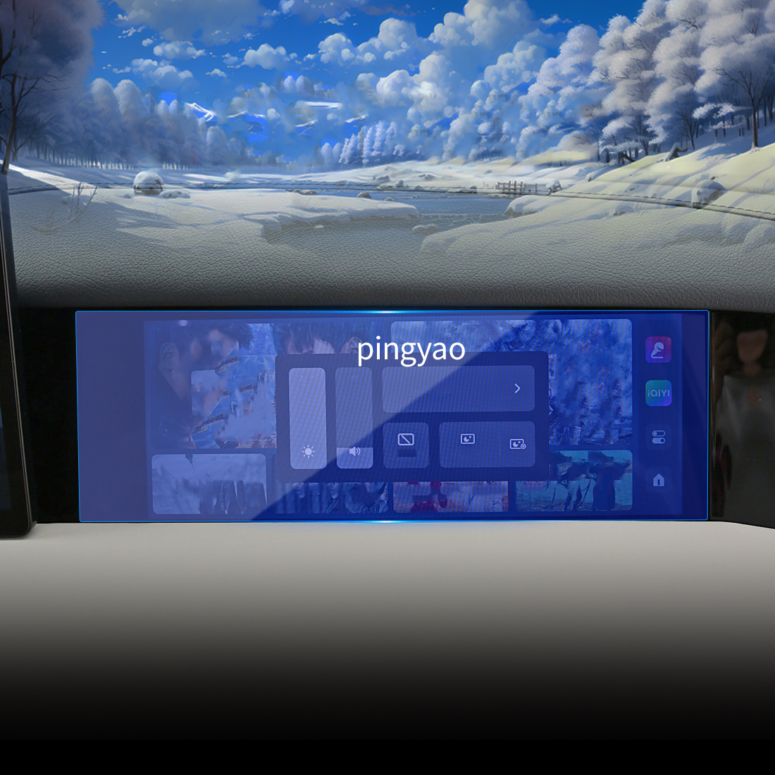 Vice pantalla del conductor