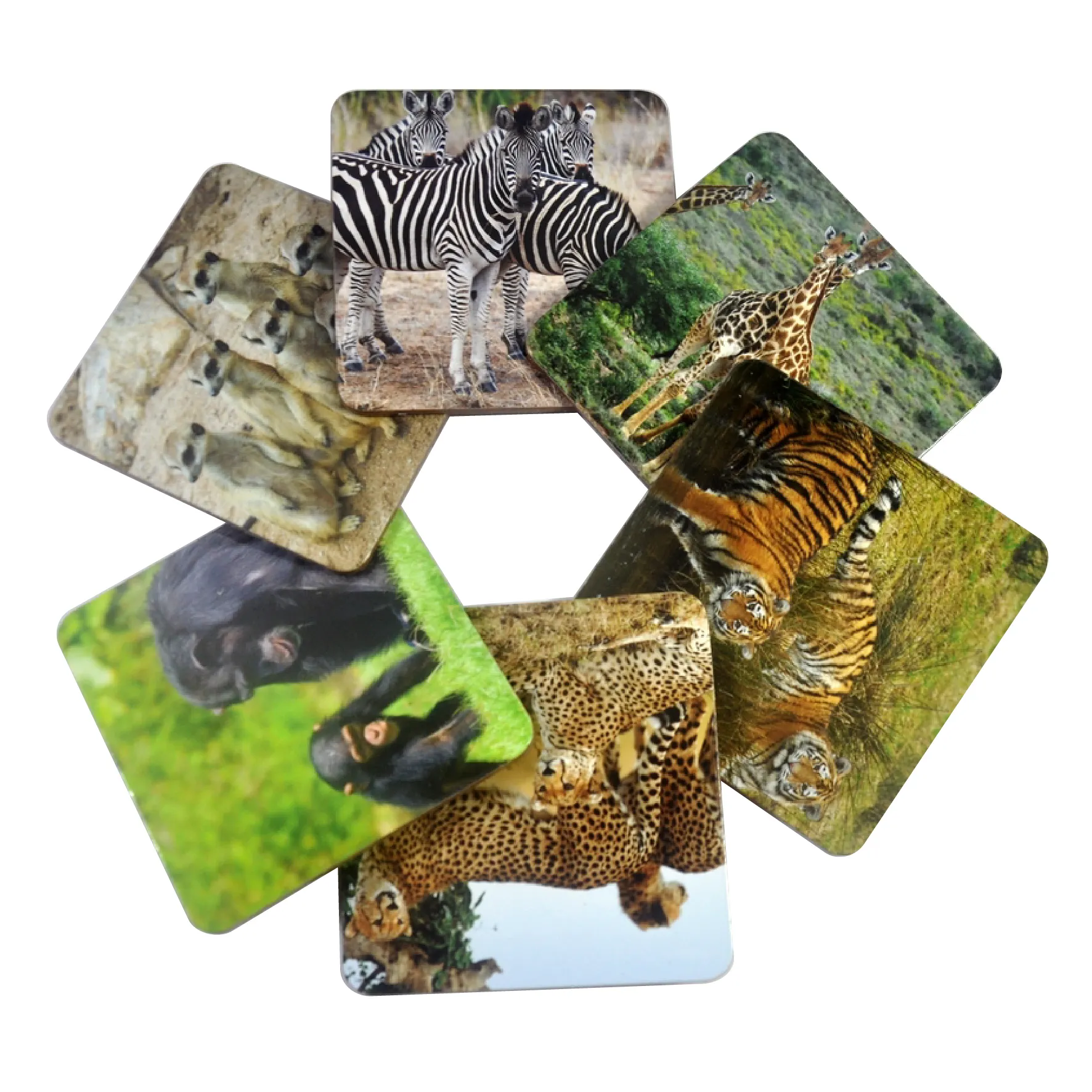 동물원 동물 사진 인쇄 가정용 주방 사용을위한 원형 맥주 음료 매트 OEM 친환경 나무 차 컵 코스터