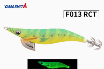 F013-RCT/626-889