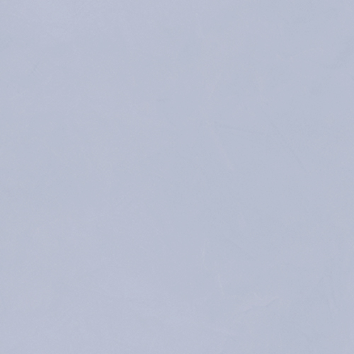 RS-036Z