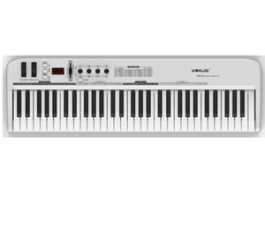 KS61B (Controlador MIDI) Sintetizador Plastic Music PANDAMINIc (Controlador MIDI) - Product Image 1