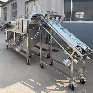 Máquina de rotura/equipo de procesamiento de corte de galleta de vaina de cacao fresco/máquina separadora de cáscara y granos de cacao - Product Image 5