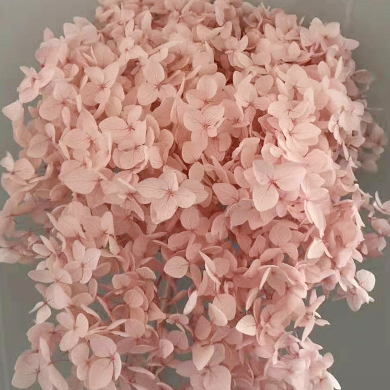polvo de flor de cerezo