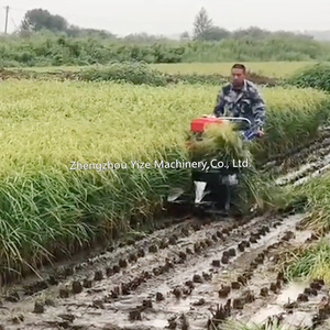 Automatic Mini Rice <strong>Wheat</strong> <strong>Paddy</strong> Cutting Drying Binding Harvester Reaper Binder Cutter Machine for <strong>Wheat</strong> Rice - Product Image 5