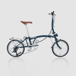 CRANSTON 20 pollici esterno 9 velocità bicicletta pieghevole a doppio freno C M manubrio cromato-molibdeno telaio in acciaio City Bike