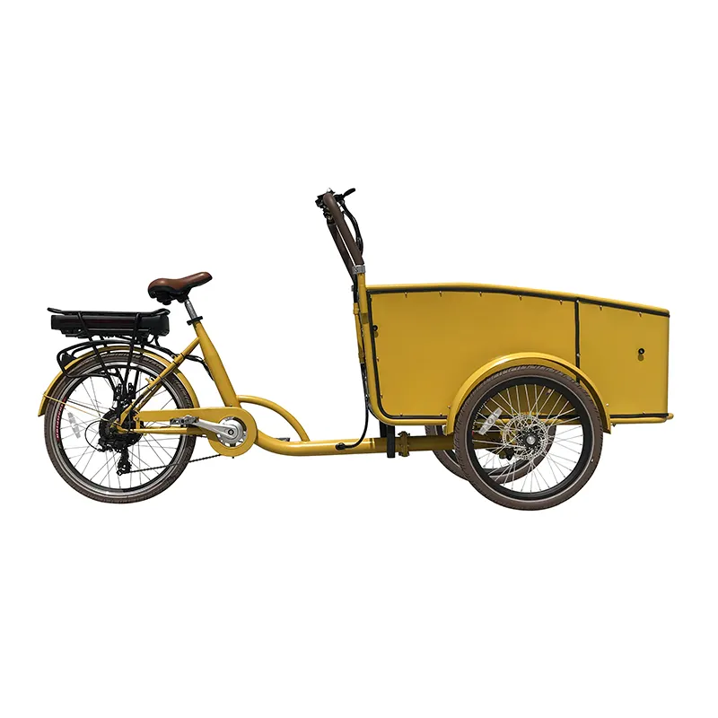 Teslimat hizmeti için 3 üç tekerlekli motosiklet motorlu bisiklet kargo Ebike kargo