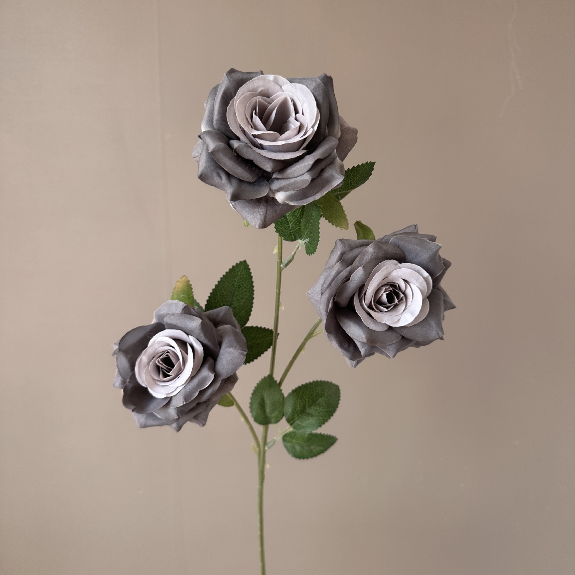 Grigio