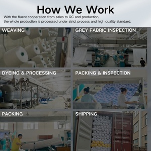 Delantex Chuyên Nghiệp Dệt Kim 100% Polyester Poly Lưới Net Bird Eye Lưới Micro Pique Mỏng Vải - Product Image 5