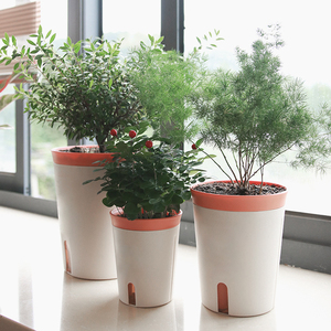 Redeco新しいトレンドカスタムポットプラスチックプランター庭の家の装飾のための自己散水植木鉢