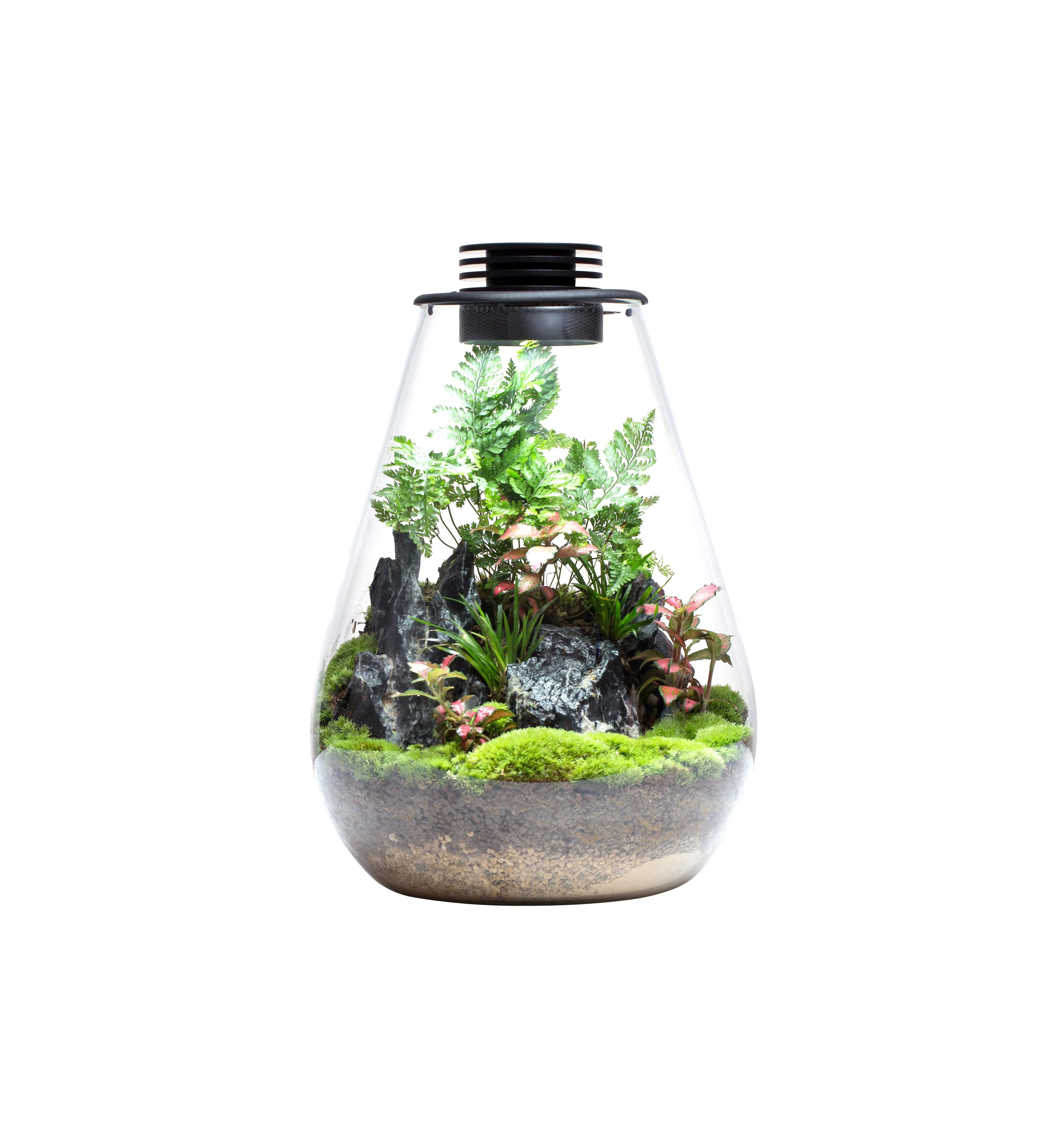 Nuovo Design attrezzatura per acquari paesaggistica Art Design SD175/200 decorazioni per bottiglie di vetro Eco ornamenti bottiglia per piantare regali