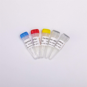 QPCR RNA ters transkriscription kiti cDNA sentezi premix # R1031 için RT-PCR Mix - Product Image 2