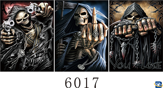 6017