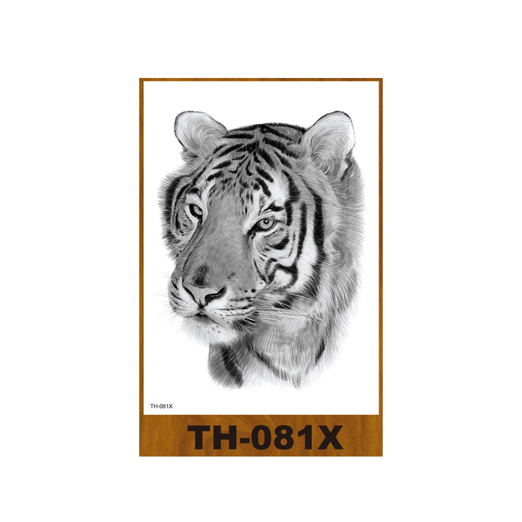 TH-81X