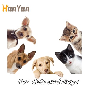 Oem ODM nấm bổ sung cho chó nhai mềm với nhận thức Nấm hữu cơ và sức khỏe miễn dịch cho vật nuôi bổ sung - Product Image 3