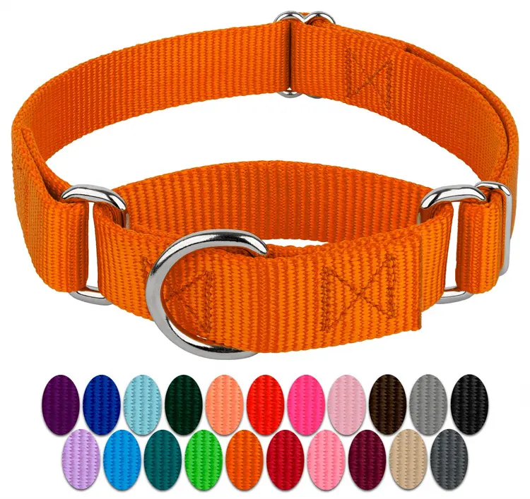 Custom Pattern Logo Polyester Nylon Outdoor Training Martingale Dog Collar Chain Adjustable Custom Martingale Dog Collar