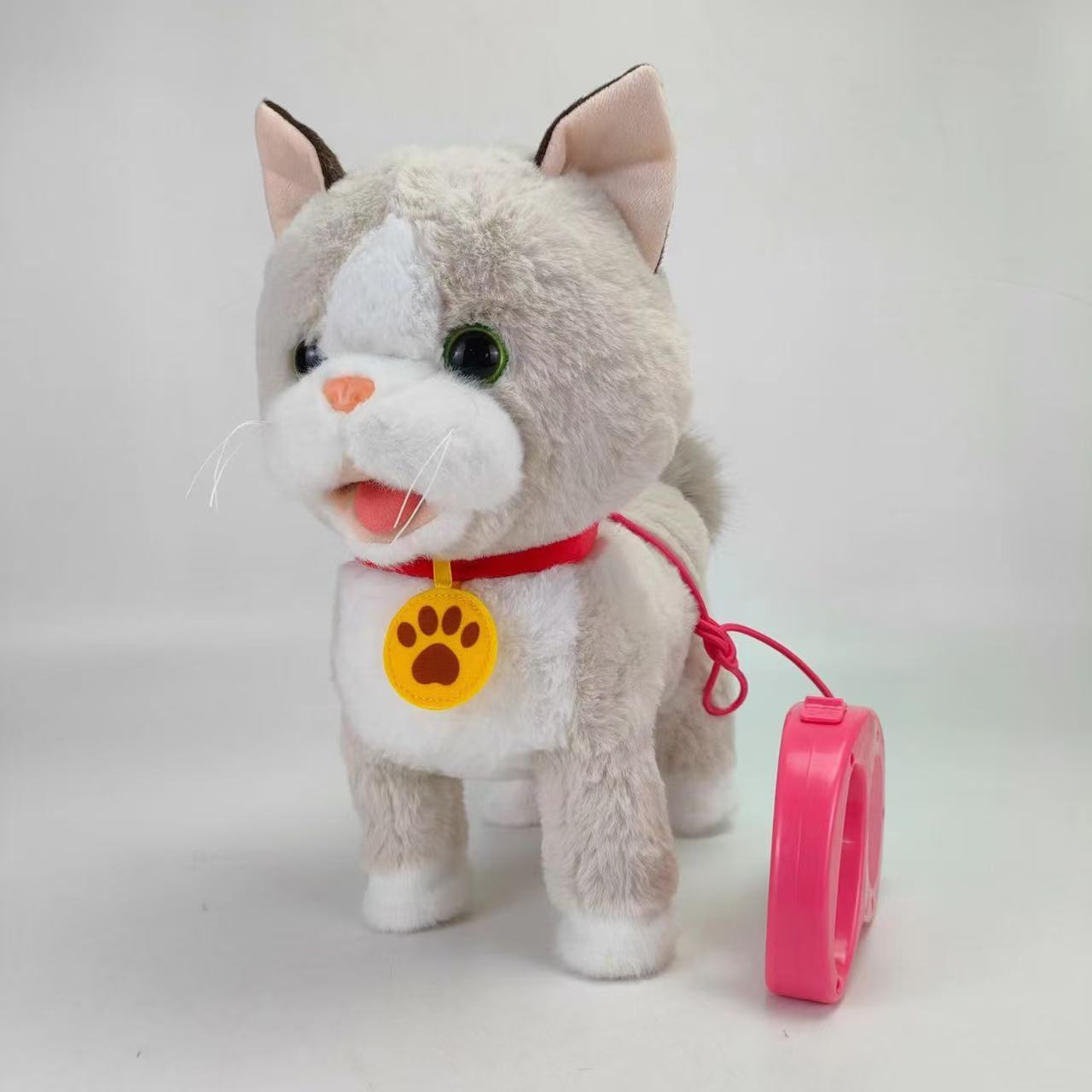 Chat Ragdoll
