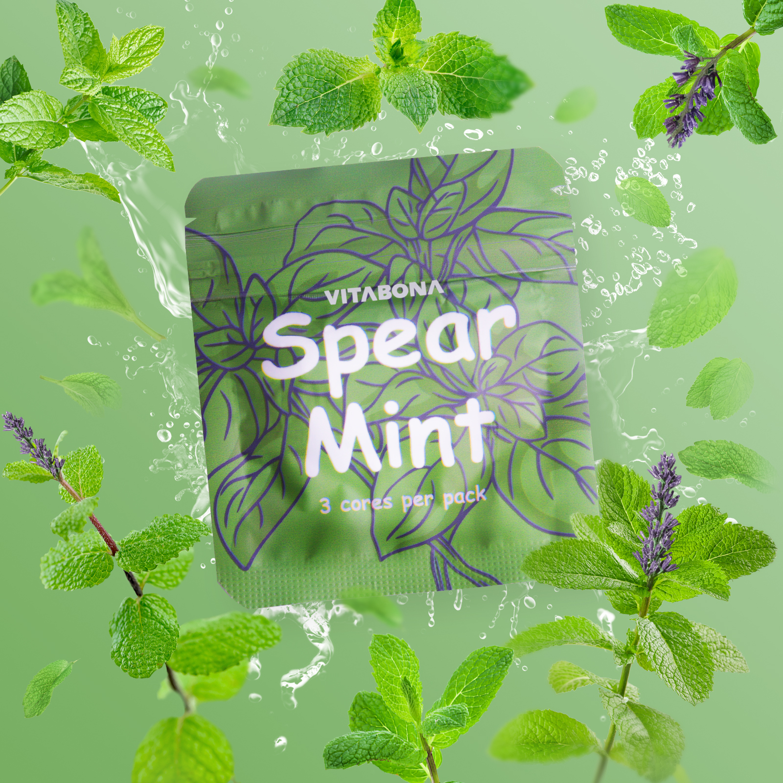 Menthe verte