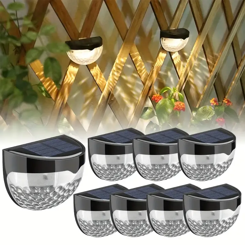 Luz cálida de concha negra.