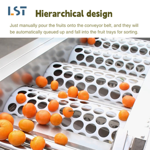 Macchina automatica per la selezione di frutta e verdura per la selezione di patate e patate biancospini efficiente macchina per la classificazione di frutta e verdura - Product Image 4